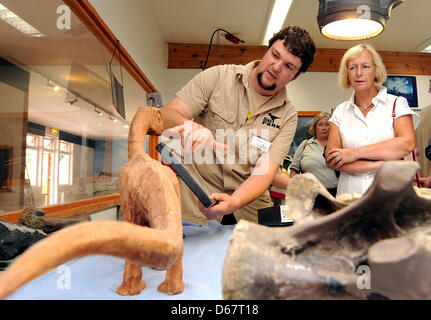 Il ministro della Scienza della Bassa Sassonia Johanna Wanka (CDU, R) è chief imbalsamatore Nils Knoetschke spiegare un dinosauro modello presso il dinosauro Open Air Museum di Muenchehagen, Germania, 28 giugno 2012. Uno scheletro completo di un Europasaurus è visto in background. Wanka ha visitato molti dinosauri siti di scavo nella Bassa Sassonia. Foto: Holger Hollemann Foto Stock