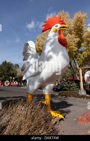 Un gallo figura accanto a una strada e le rocce rosse nel contesto, Sedona, in Arizona, Stati Uniti d'America Foto Stock