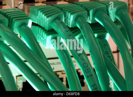 (Dpa-file) - Un file immagine datata 02 marzo 2010 mostra i cavi di rete collegata a un server di Duessldorf, Germania. La Corte federale di giustizia si incontra per un' audizione su file-hosting del servizio di hosting RapidShare. Foto: Martin Gerten Foto Stock