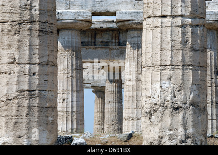 Paestum Italia. Vista ravvicinata di calcare le colonne del tempio di Hera (Basilica) la città antica. Foto Stock