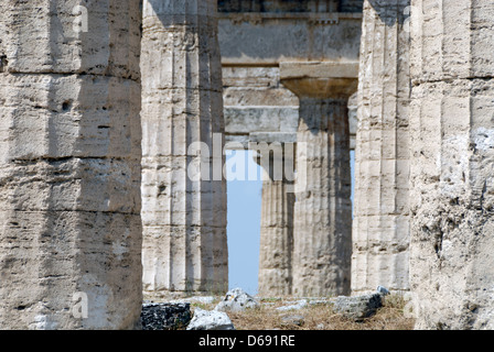 Paestum Italia. Vista ravvicinata di calcare le colonne del tempio di Hera (Basilica) la città antica. Foto Stock