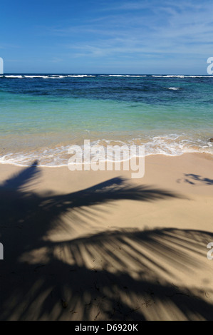 Palme da cocco ombra su di una spiaggia di sabbia con il mare dei Caraibi in background Foto Stock