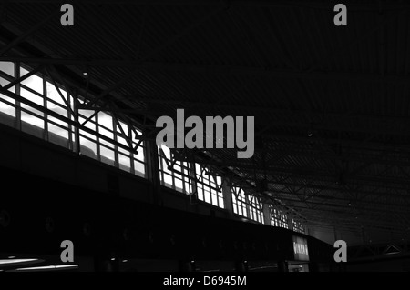 Questa immagine a tema serale è stata scattata utilizzando una Nikon D5100 con un obiettivo Nikkor f/1,4 ai-S da 35 mm. La foto abbraccia un tema scuro con editing digitale in bianco e nero, offrendo un'atmosfera soffusa adatta alla fotografia artistica. Foto Stock