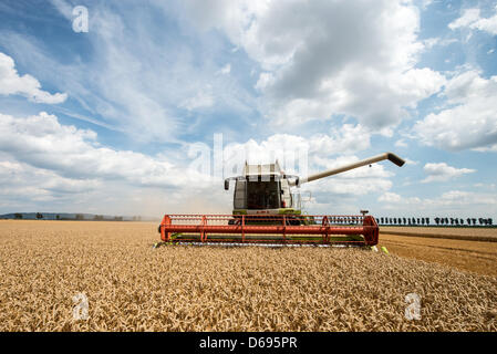 Una trebbiatrice combinato di raccolti di frumento in un campo nei pressi di Neutraubling (Germania), 30 luglio 2012. La mietitura del grano in Baviera è attualmente in pieno svolgimento. Foto: ARMIN WEIGEL Foto Stock