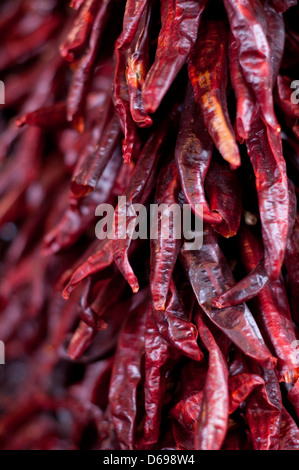 Mazzetto di essiccato red hot chili peppers Foto Stock