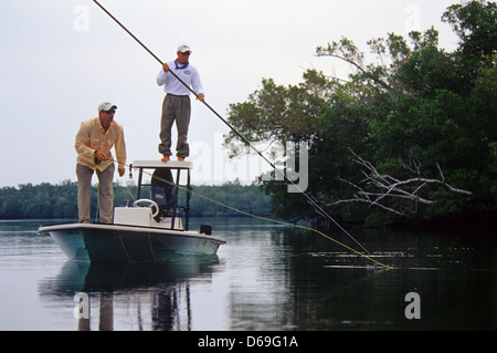 Fly fisherman casting per tarpon e snook in Everglades City Florida Foto Stock