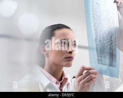 Scienziato esaminando il sequenziamento di DNA su gel Foto Stock