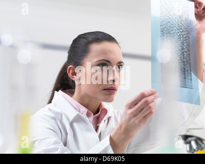 Scienziato esaminando il sequenziamento di DNA su gel Foto Stock