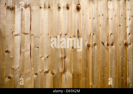 Close up di grigio recinzione di legno Foto Stock