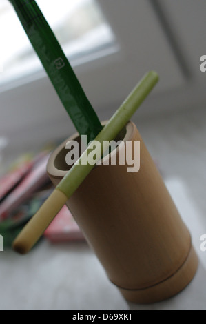 Questa immagine presenta il Pocky al sapore di matcha, un popolare spuntino giapponese. Il Matcha è una polvere di tè verde finemente macinata nota per il suo sapore distintivo, spesso utilizzata nei dolci e nelle bevande. Foto Stock