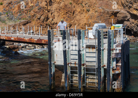 Parco nazionale Ranger di servizio sul dock a Scorpion ancoraggio su Santa Cruz isola nel Parco Nazionale delle Channel Islands, California Foto Stock