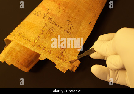Geroglifici egiziani su papiro Foto Stock