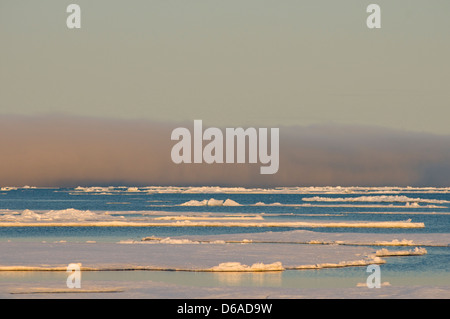 La Norvegia, l'arcipelago delle Svalbard, Spitsbergen. Il paesaggio del mare di ghiaccio galleggiante al largo con la nebbia in distanza. Foto Stock