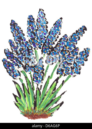 Prime molle fiori Muscari Foto Stock
