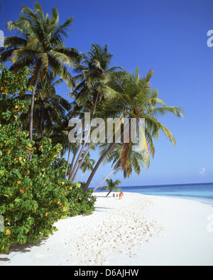 Tropical Beach view, Kuda Bandos, Bandos Island, Kaafu Atoll, Repubblica delle Maldive Foto Stock