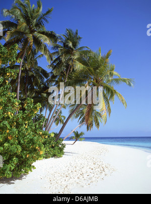 Tropical Beach view, Kuda Bandos, Bandos Island, Kaafu Atoll, Repubblica delle Maldive Foto Stock