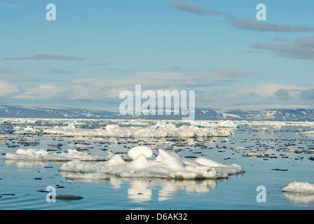 La Norvegia, l'arcipelago delle Svalbard, Freemansund canale. Floating glaciale paesaggio di ghiaccio nel canale Freemansund, costa orientale Foto Stock