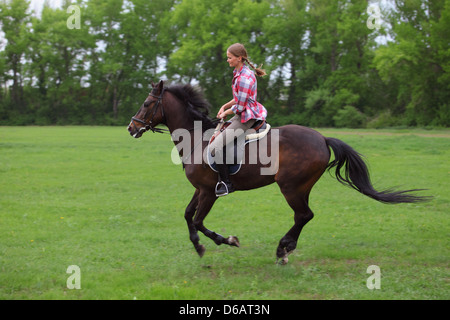 Ragazza a cavallo sul retro di un tedesco di Trakehnen cavallo al galoppo in un prato Foto Stock