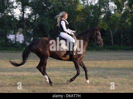 Ragazza a cavallo sul retro di un tedesco di Trakehnen cavallo al galoppo in un prato Foto Stock