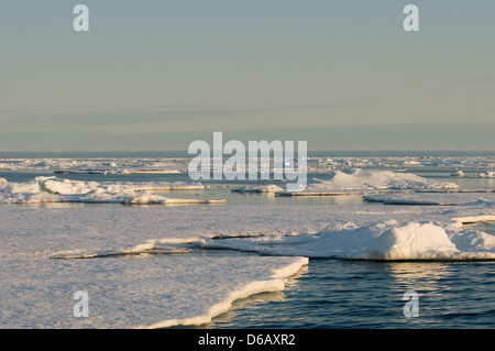 La Norvegia, l'arcipelago delle Svalbard, Spitsbergen. Paesaggio di pentole piatti di mare di ghiaccio galleggiante al largo in estate. Foto Stock