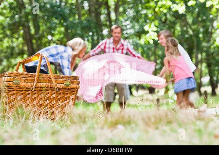 Famiglia avente picnic nel parco Foto Stock