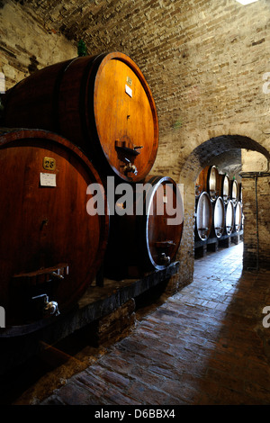 Italia, Toscana, Montepulciano, Palazzo Contucci, cantina, barili Foto Stock