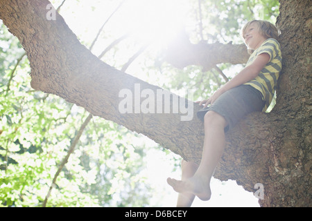 Sorridente ragazzo seduto nella struttura ad albero Foto Stock