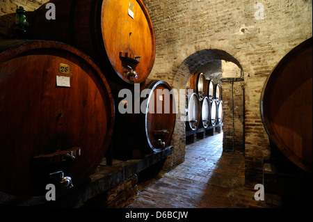 Italia, Toscana, Montepulciano, Palazzo Contucci, cantina, barili Foto Stock