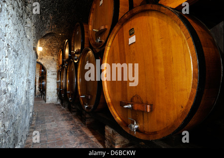 Italia, Toscana, Montepulciano, Palazzo Contucci, cantina, barili Foto Stock