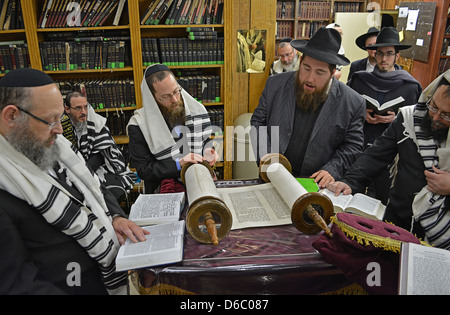 Lettura da un rotolo di Torah al mattino servizi durante la Pasqua a Lubavitch sede a Brooklyn, New York. Foto Stock