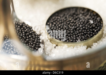 Il caviale nero in rotondo piccolo stagno metallico su ghiaccio Foto Stock