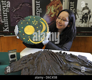 Archeologo Tomoko Emmerling presenta una copia del disco del cielo di Nebra a Halle, Germania, 12 Jauary 2012. Il disco del cielo che è più di 3600 anni e i cinquanta milioni di anni di fossile di un antico cavallo (anteriore) fron il Geiseltal vicino a Halle sono ora state dichiarate patrimonio nazionale. L'elenco ufficiale del prezioso patrimonio culturale elenca 2307 manufatti provenienti da tutta la Germania. Phot Foto Stock