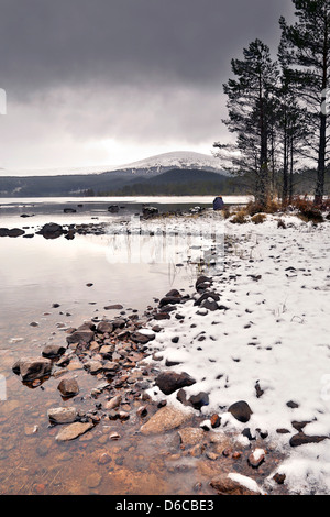 Loch Morlich; inverno; vicino a Aviemore; Scozia - UK Foto Stock