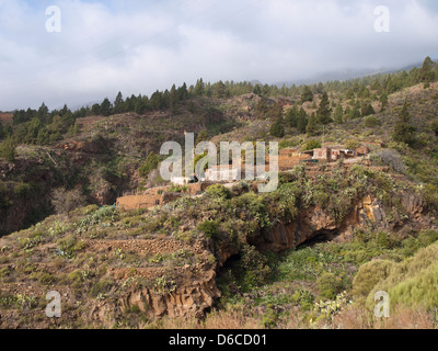 Case agricole e foresta in Araya, Tenerife Spagna vicino al sentiero a Los Brezos nella Corona Forestal parco naturale Foto Stock