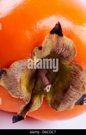 Vicino Persimmon fino Foto Stock