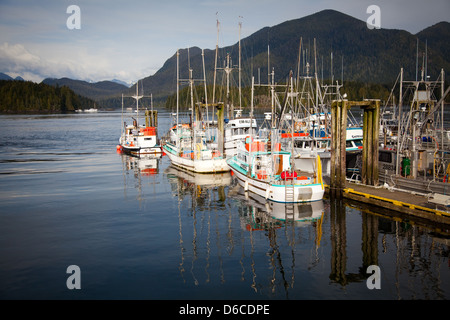 Barche nutrite in Tofino, isola di Vancouver Foto Stock