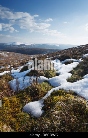 Le patch di scioglimento della neve sulle pendici della montagna Sugar Loaf. Nei pressi di Abergavenny. Parco Nazionale di Brecon Beacons. Il Galles, UK. Foto Stock