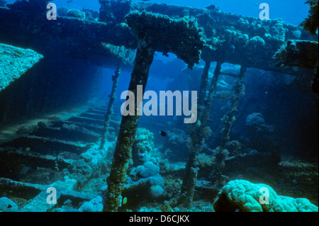 Relitto dell'Umbria,Mare Rosso Dec 1986 conversioni di scorrimento,l'Egitto,Penisola del Sinai,Sudan barca safari Diving,la fotografia subacquea. Foto Stock