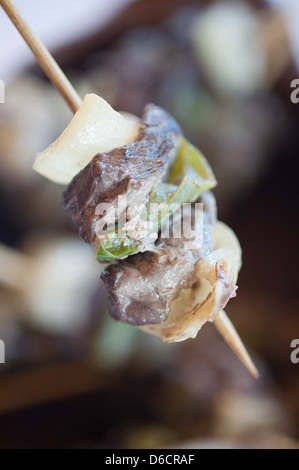 Carni di cavallo kabob - Tipica tariffa Mapuche in Temuco, Cile Foto Stock