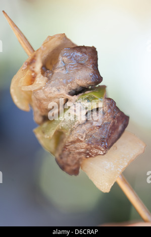 Carni di cavallo kabob - Tipica tariffa Mapuche in Temuco, Cile Foto Stock