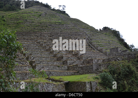Rovine Inca a Winay Wayna sul cammino degli Inca alla scoperta di Machu Picchu Foto Stock