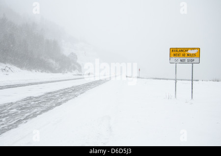 Area di valanghe un cartello di segnalazione sull'autostrada Seward Foto Stock