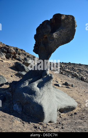 Roccia del fungo vicino bacino Badwater. Parco Nazionale della Valle della Morte, California, Stati Uniti d'America. Foto Stock