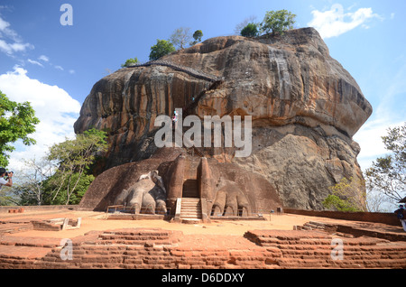 Leone di Sigiriya rock fortezza in Sri Lanka Foto Stock