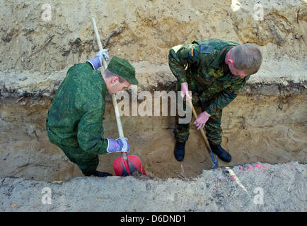 Tedesco e soldati russi scavare una tomba per il trasferimento dei resti di soldati tedeschi dalla II guerra mondiale presso il cimitero di legno in Halbe, Germania, 06 settembre 2012. La riconciliazione oltre tombe: giovani tedeschi e soldati russi seppellirà tedesco morto e i soldati russi dalla II guerra mondiale insieme. Il trasferimento di resta si svolgerà su Lebus il 12 settembre 2012 e il 13 ECCETTO PONTI Foto Stock