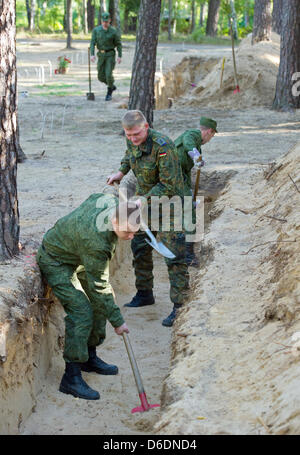 Tedesco e soldati russi scavare una tomba per il trasferimento dei resti di soldati tedeschi dalla II guerra mondiale presso il cimitero di legno in Halbe, Germania, 06 settembre 2012. La riconciliazione oltre tombe: giovani tedeschi e soldati russi seppellirà tedesco morto e i soldati russi dalla II guerra mondiale insieme. Il trasferimento di resta si svolgerà su Lebus il 12 settembre 2012 e il 13 ECCETTO PONTI Foto Stock