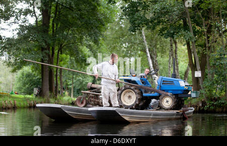 Il trasporto dei lavoratori di un trattore in due barche su un su annulla vicino a Luebbenau, Germania, 15 settembre 2012. Nella regione Spreewald, di persone e merci varie sono tradizionalmente trasportati da barche. Foto: Kay Nietfeld Foto Stock