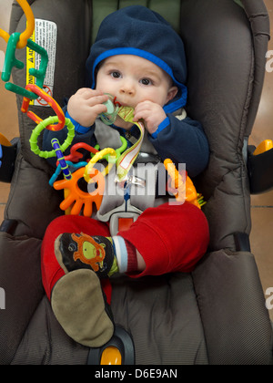 Baby shopping a Trader Joe's fruttivendolo Foto Stock