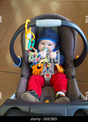 Baby shopping a Trader Joe's fruttivendolo Foto Stock