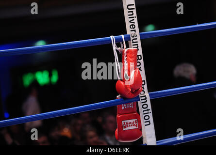 Guantoni da boxe da appendere sulle funi dell'anello durante l'Universum pugilato Fight Night al Grand Elysee Hotel di Amburgo, Germania, 28 gennaio 2012. Foto: Christian Charisius Foto Stock